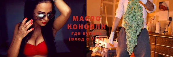 мдпв Богородицк