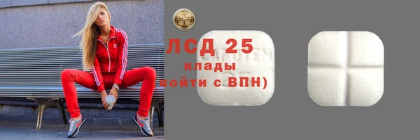 мдпв Богородицк